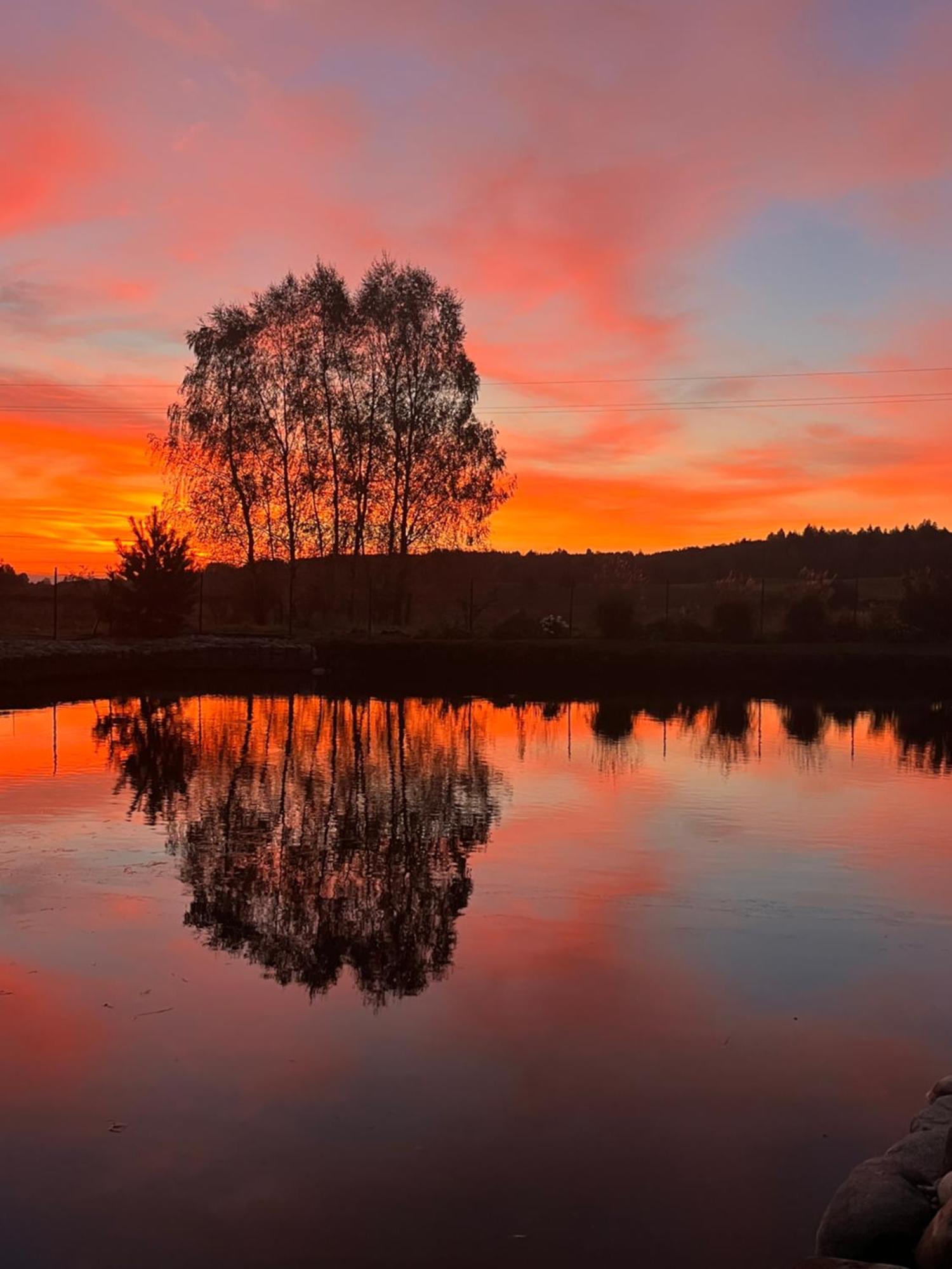 Vila Тракай Экстерьер фото